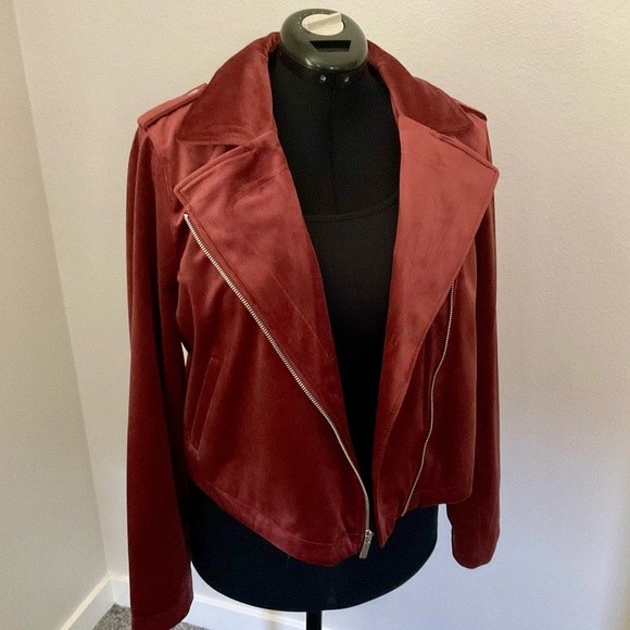 NWT Lauren Conrad Velvet Moto Jacket - Picture 3 of 5